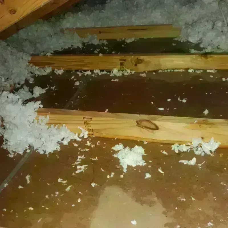 Attic Water Damage in Hooker County, NE